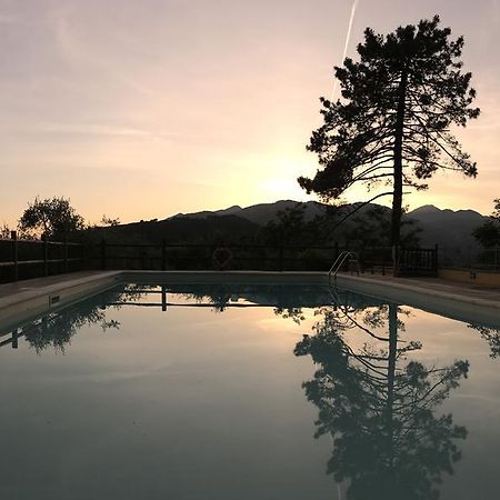 Agriturismo Il Pino San Martino in Freddana 外观 照片