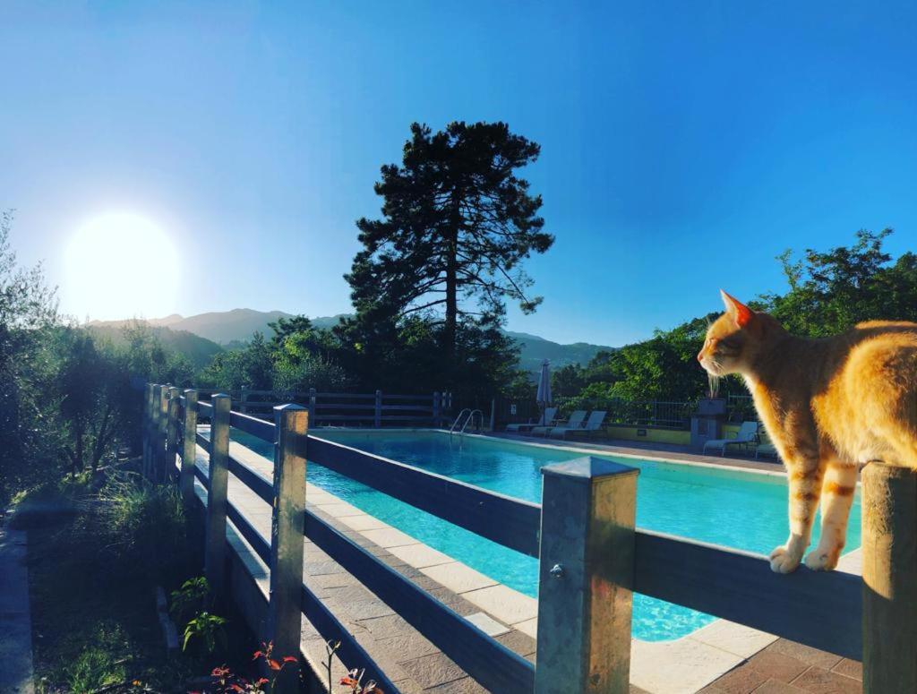 Agriturismo Il Pino San Martino in Freddana 外观 照片