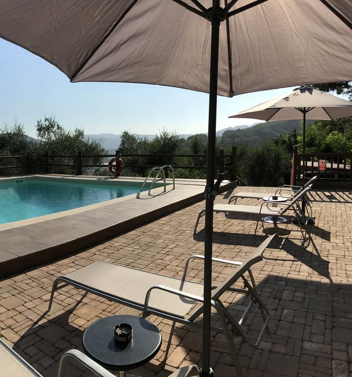 Agriturismo Il Pino San Martino in Freddana 外观 照片