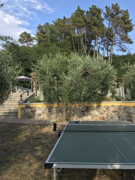 Agriturismo Il Pino San Martino in Freddana 外观 照片