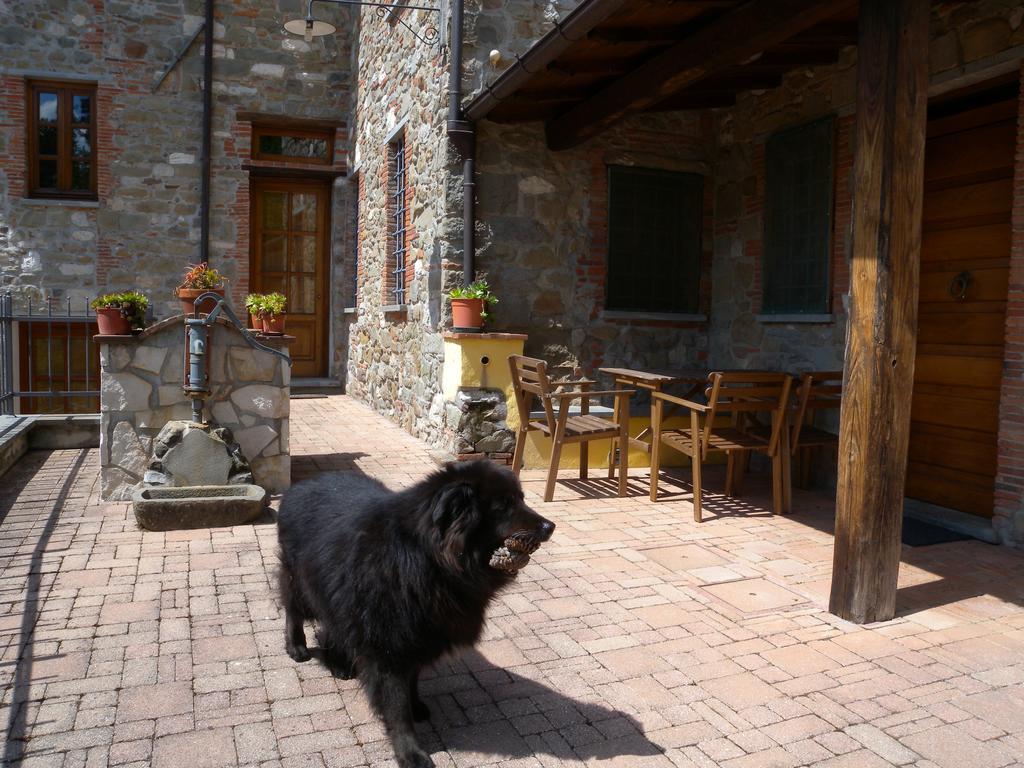 Agriturismo Il Pino San Martino in Freddana 外观 照片